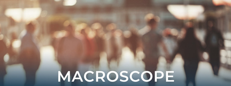 Macroscope lowres