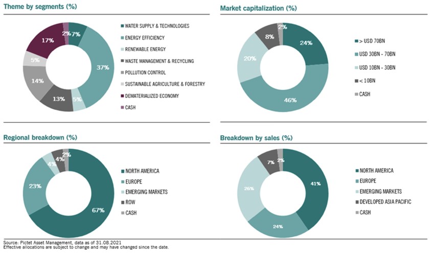 Pictet graphs