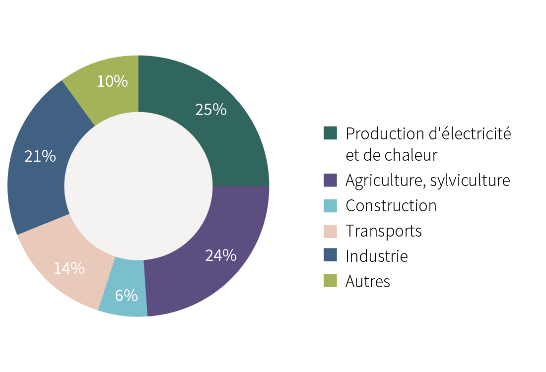 Rothschild graph fr %286%29