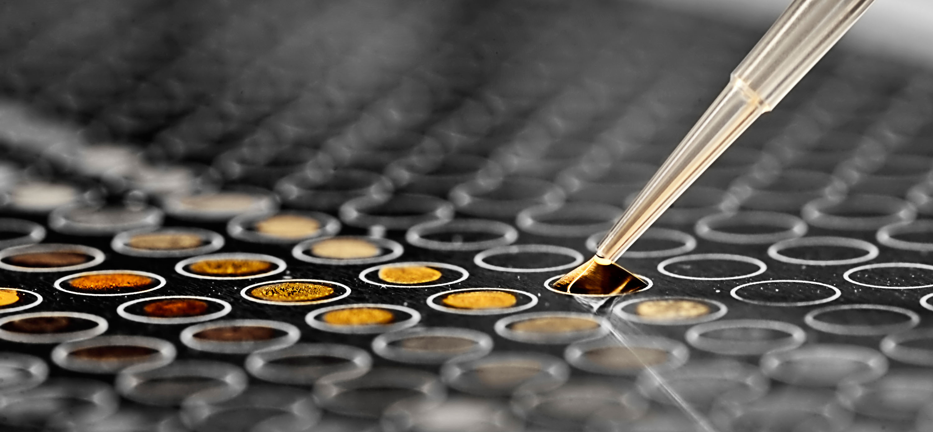 Pictet biotech laboratory research pipette