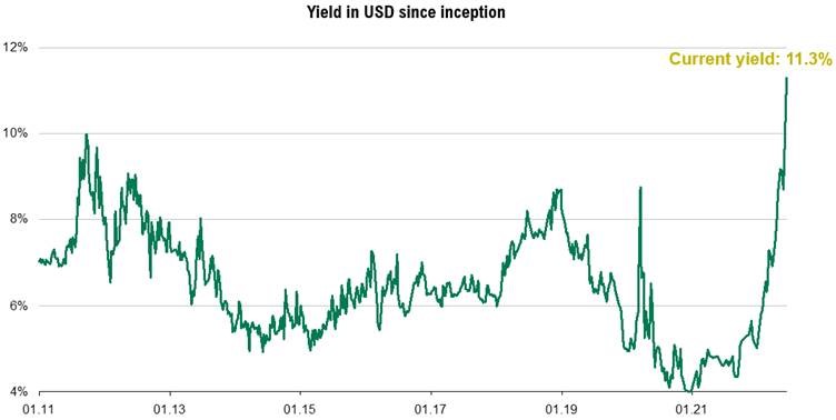 1 ubp yield in usd since inception 4