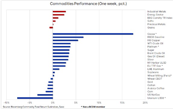 Commodities performances