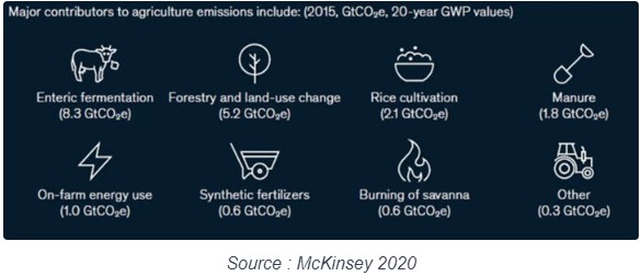 Esg investing